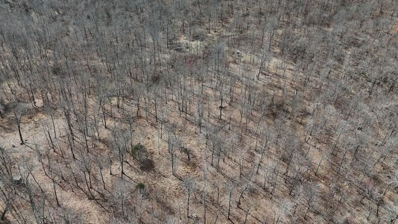 stone8020260307_0061