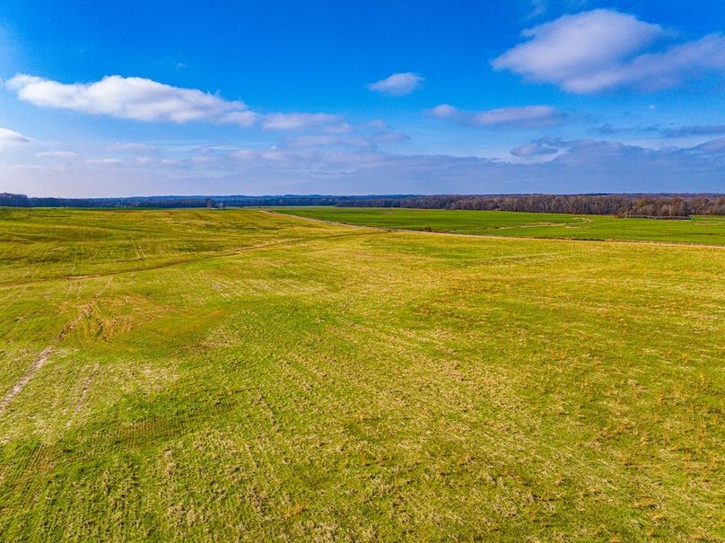 Henry 137 Miller-33-2