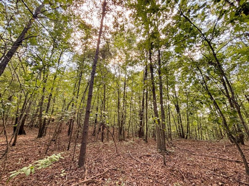 9EA42E25-BD56-47DB-BB4F-386EAFC4DF16