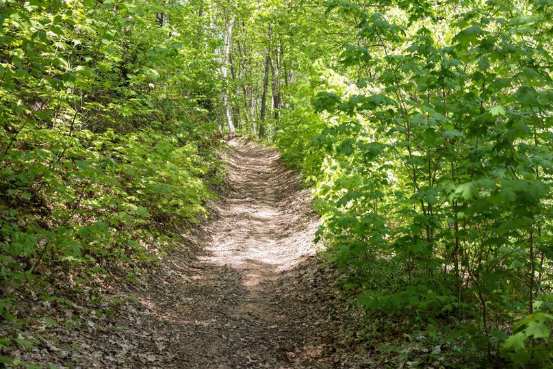Chippewa85Knowles-5571