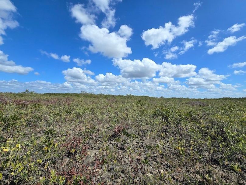 17.17ac, Citrus, Josiah Ronco54