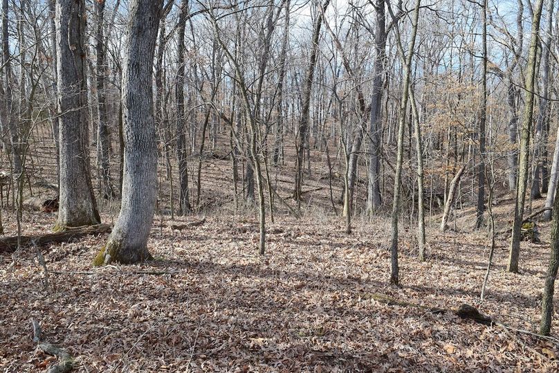 DSC_0317_inPixio (2)