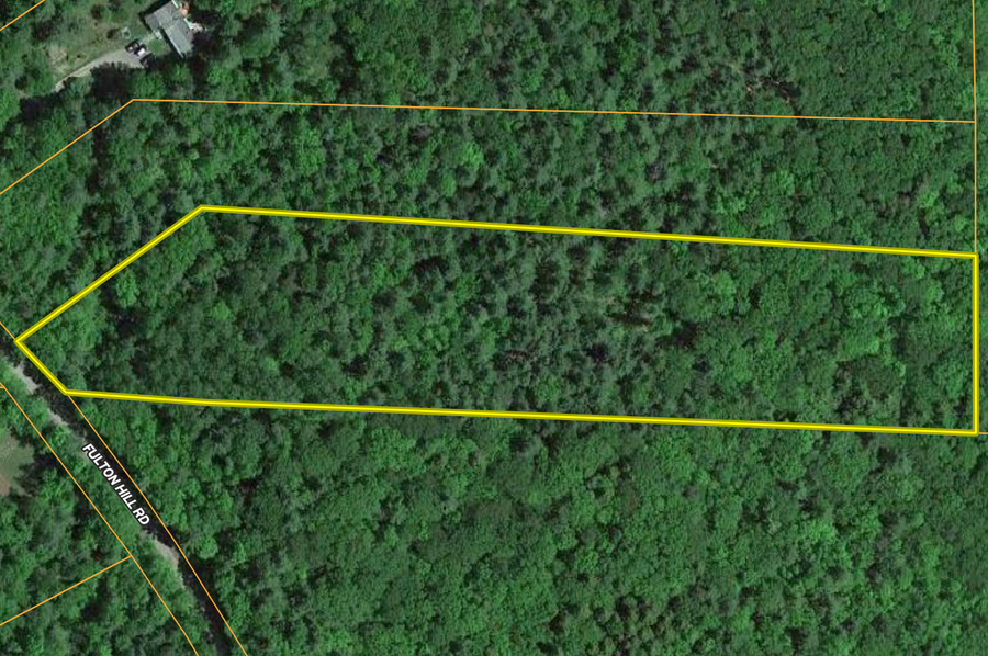 Schoharie Co 5.15 Delsey Properties overview
