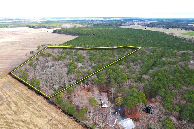 16.38ac_SilverGooseRd_DORCH_Aerial 002 copy