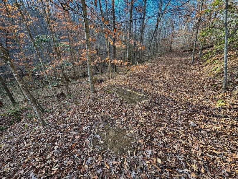 023 more scrapes getting cleaned out