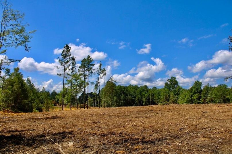 BF2607CE-CF58-4091-BF7B-9B288C82D2ED_1_105_c