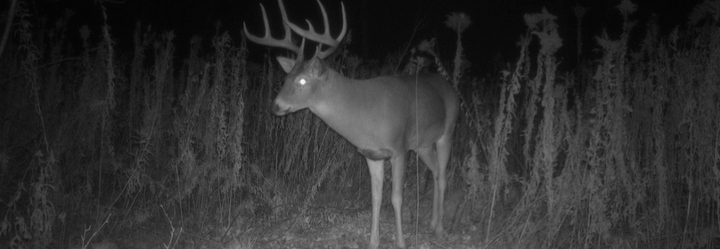 Screenshot 2025-10-21 at 1.45.40 PM