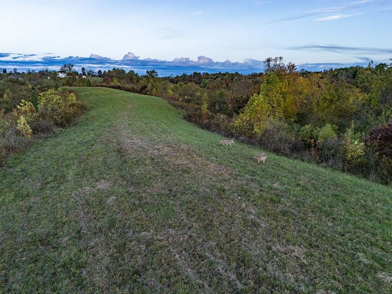 DJI_20251018054425_0009_D