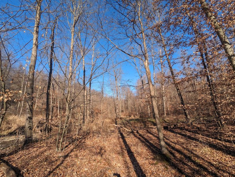 PXL_20231215_171551335