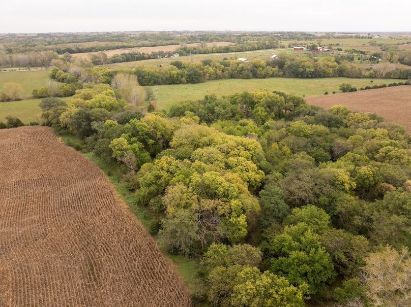 DJI_20251011101632_0129_D