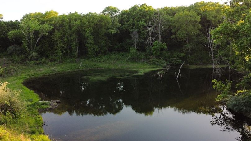 PAGE CO IA 130+_-_10