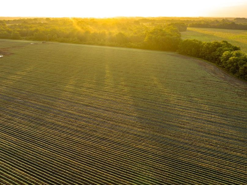 Copy of Noxubee 40 Tract 2-10