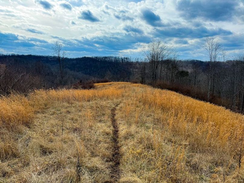 Doddridge, WV 79.08 AC Adams-49