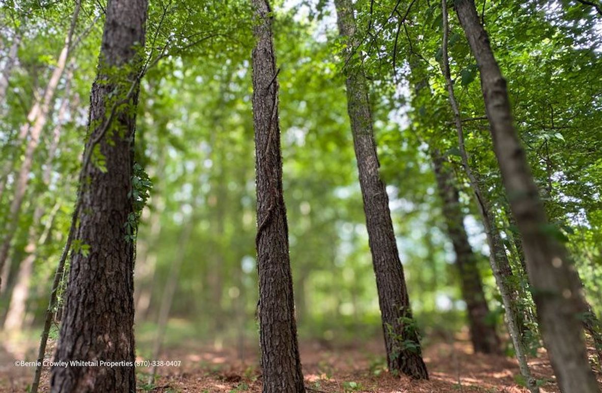 Phillips 58 Coats -05