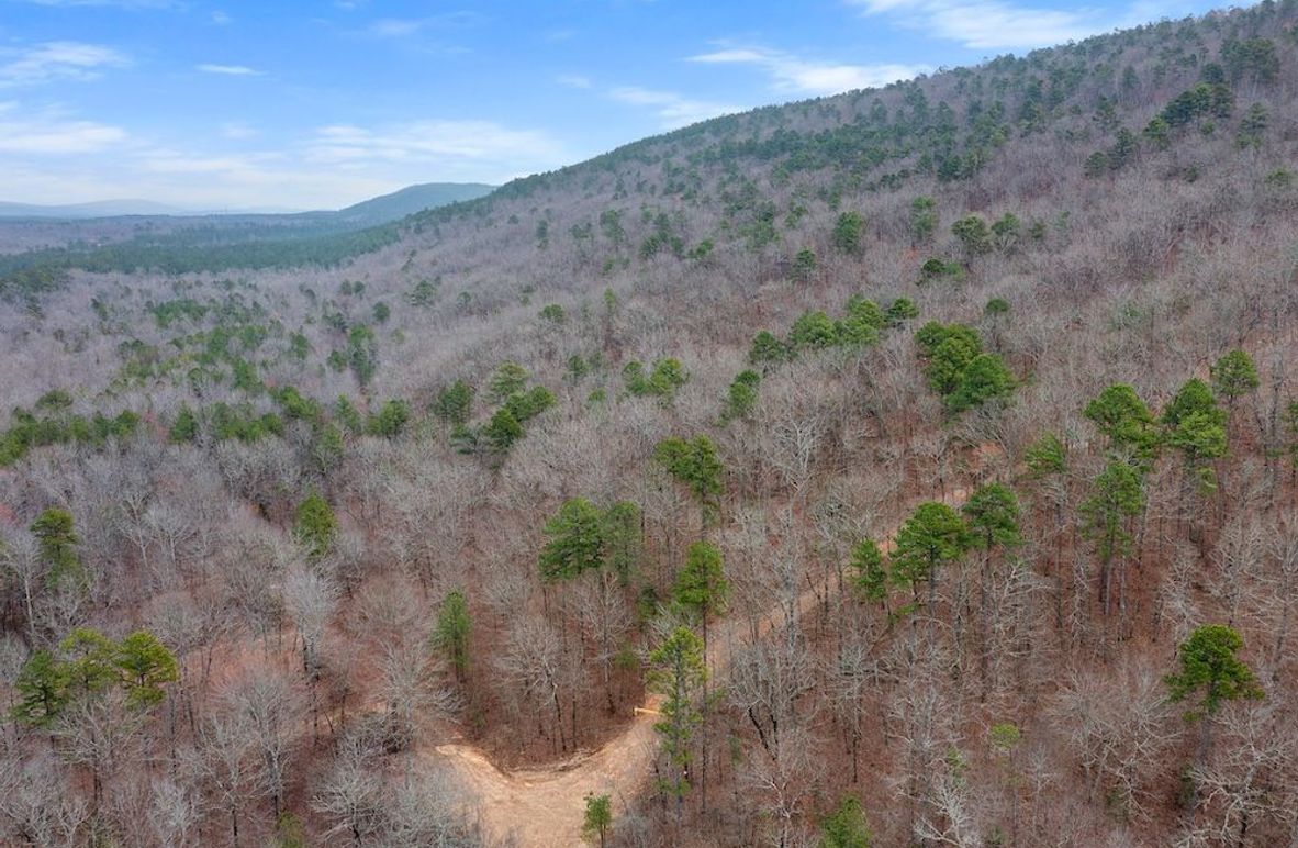 1-web-or-mls-DJI_0399