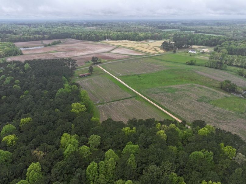 DJI_20250411111424_0038_D