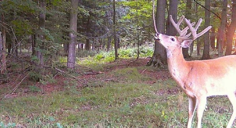 Screen Shot 2025-10-07 at 11.41.05 AM