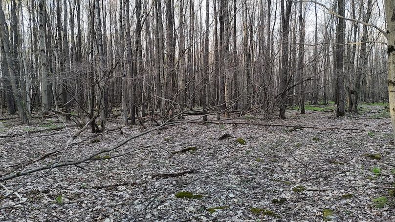 DJI_20260423190552_0296_D