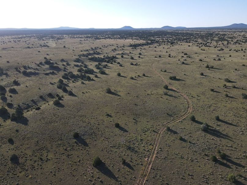 dji_fly_20240816_075014_512_1723816232763_photo