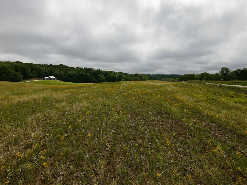 dji_fly_20230514_101622_384_1684077393960_photo