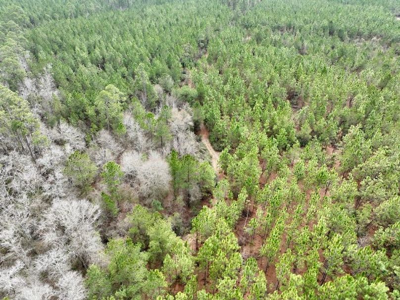 dji_fly_20260211_133328_317_1770835092919_photo