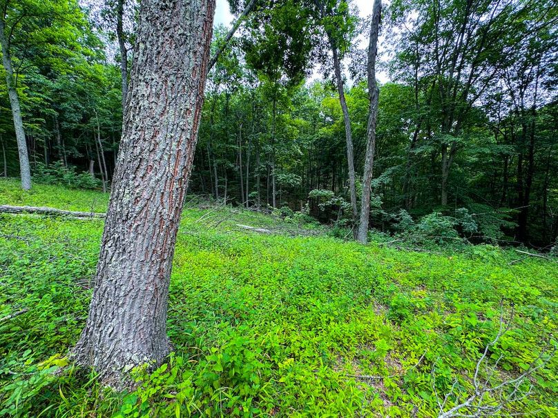 Tyler, WV 46 Lemasters -21