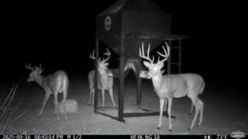 21d89baec5b2a908052d02b56564e85d-small