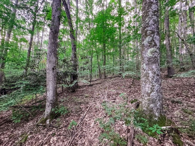 Webster, WV 42 AC Barger-15