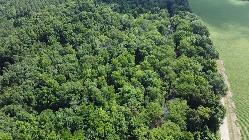 2024-06-01-10-30-18-658