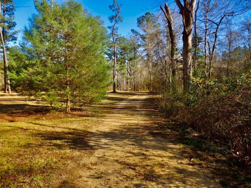 054C9A0D-6872-479F-80A8-CACF43721F97_1_105_c