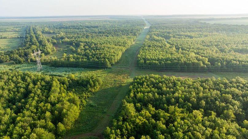 MadisonParLa1372-090