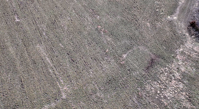 Screenshot 2026-01-06 at 8.28.10 PM