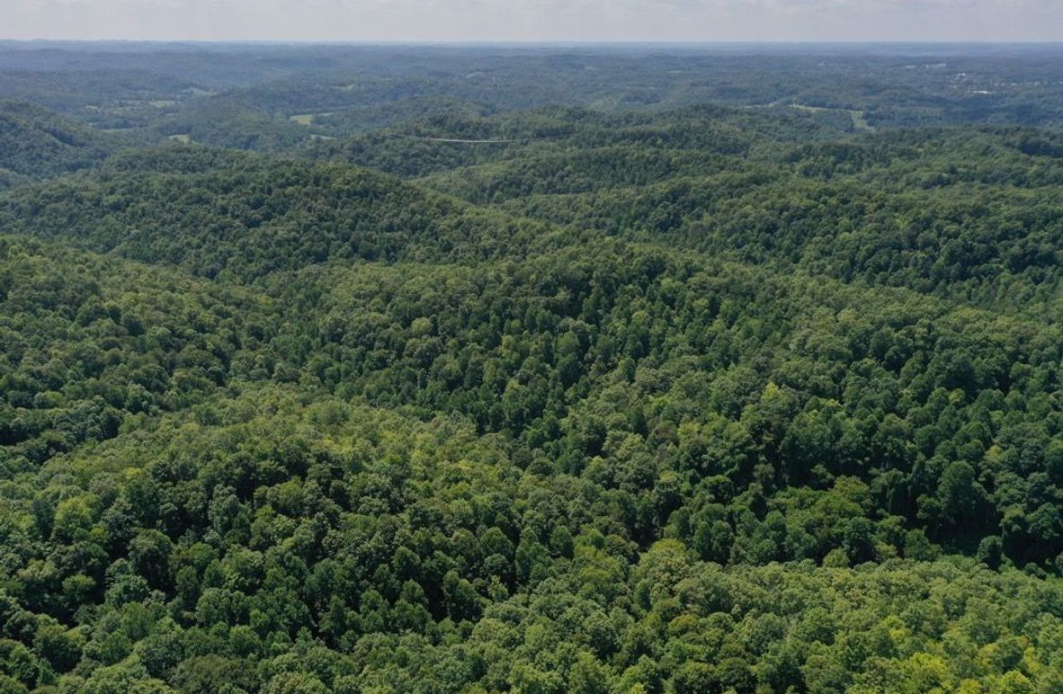 001 aerial drone shot from the center of the property looking southwest