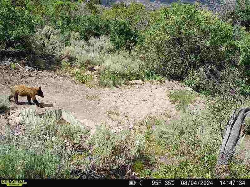 860516060007964-100-2-08042024144734-V-W1003016