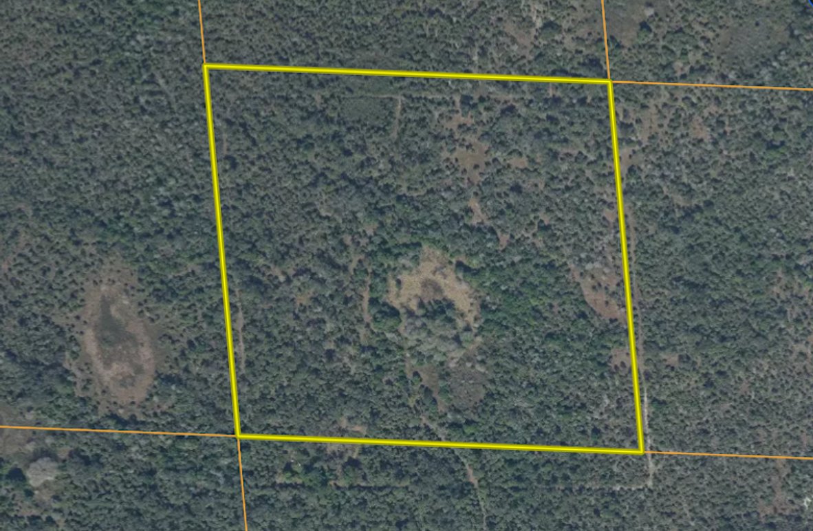 Screenshot 2025-11-22 at 8.48.02 AM