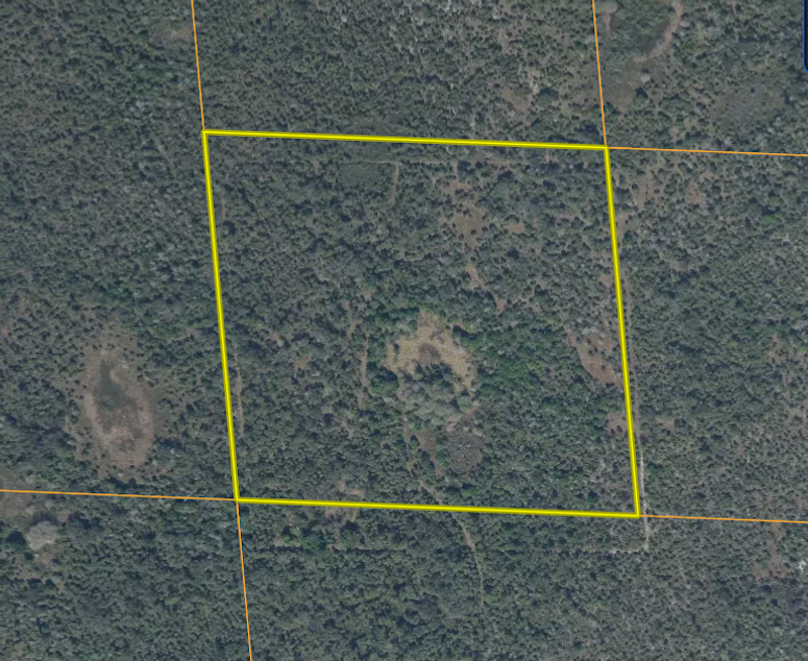 Screenshot 2025-11-22 at 8.48.02 AM