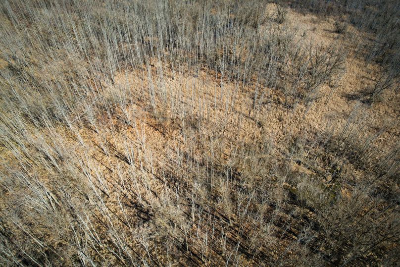 Oswego_165.52_Lashomb_Photos_37