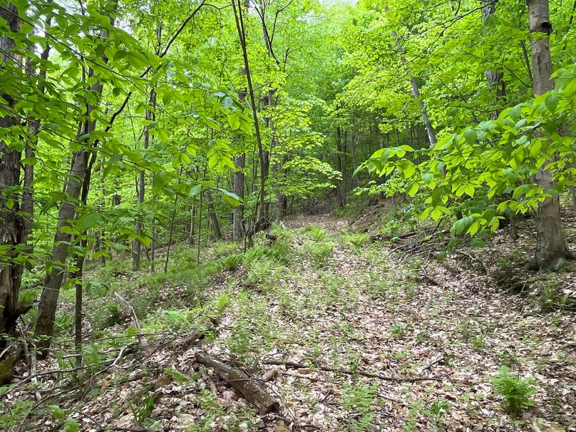 Tioga_18.72_Coulson Photo 39