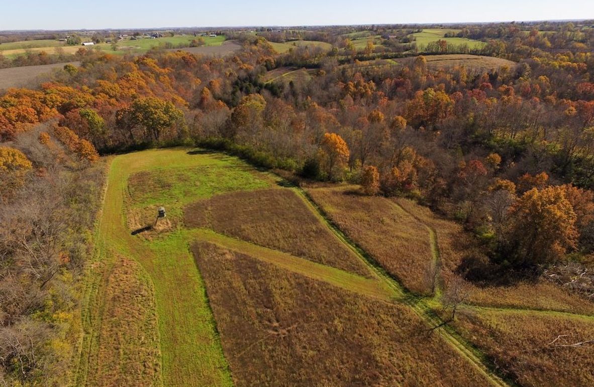 Fleming Petry 115-01