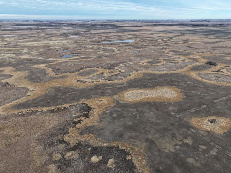 DJI_20241118113240_0328_D