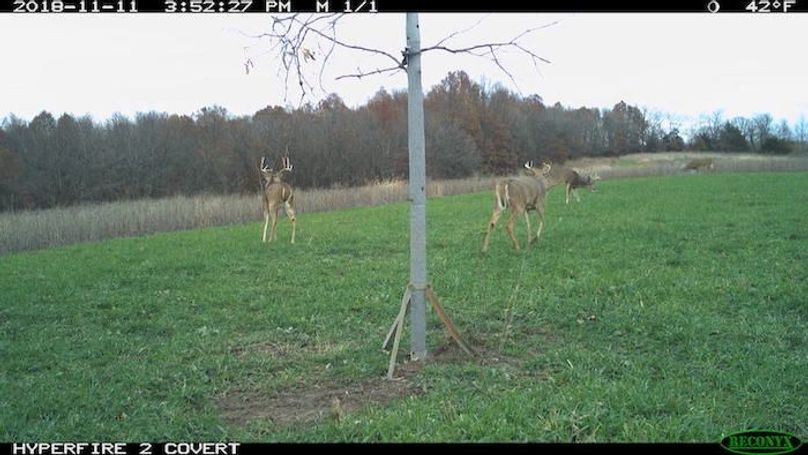 2018-11-11 15-52-27 M 1_1