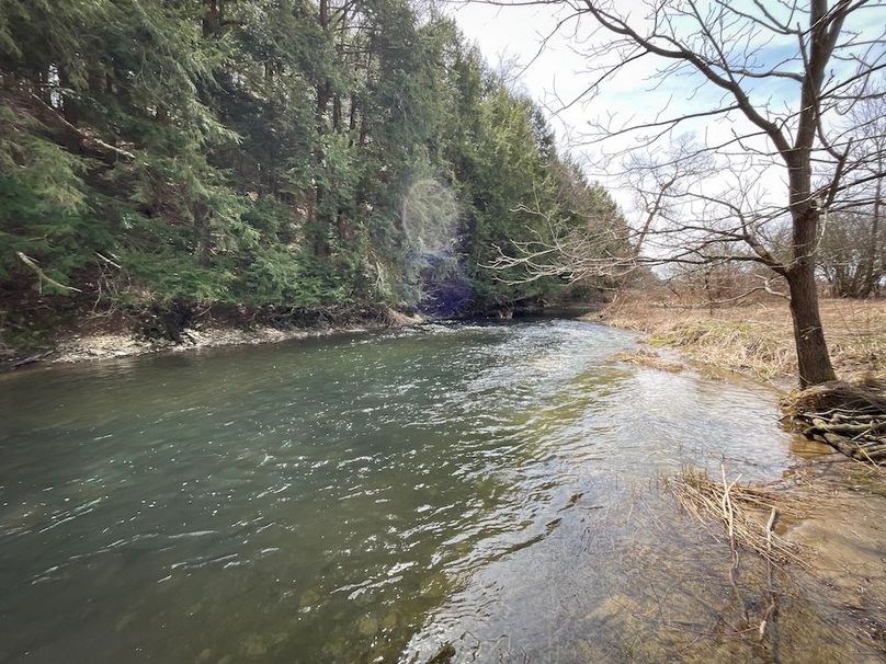 Tioga__NY_109.7_Burris_Photos_122