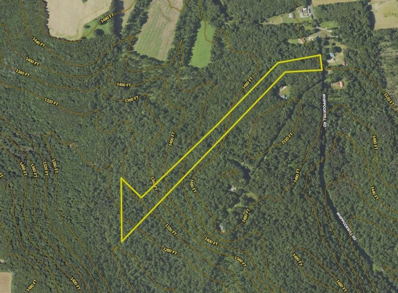 Screen Shot 2024-02-13 at 3.21.00 PM