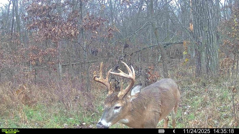 016578000207826-86-2-11242025151856-HD-SYFW04087