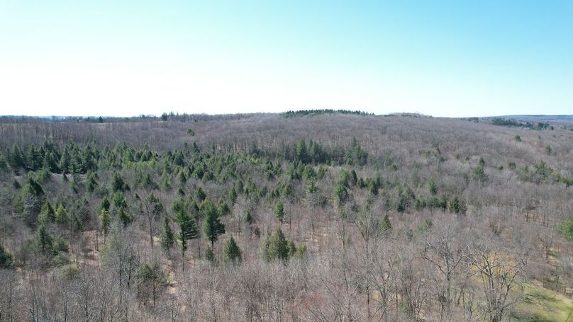 dji_fly_20250417_112736_130_1744904187749_photo
