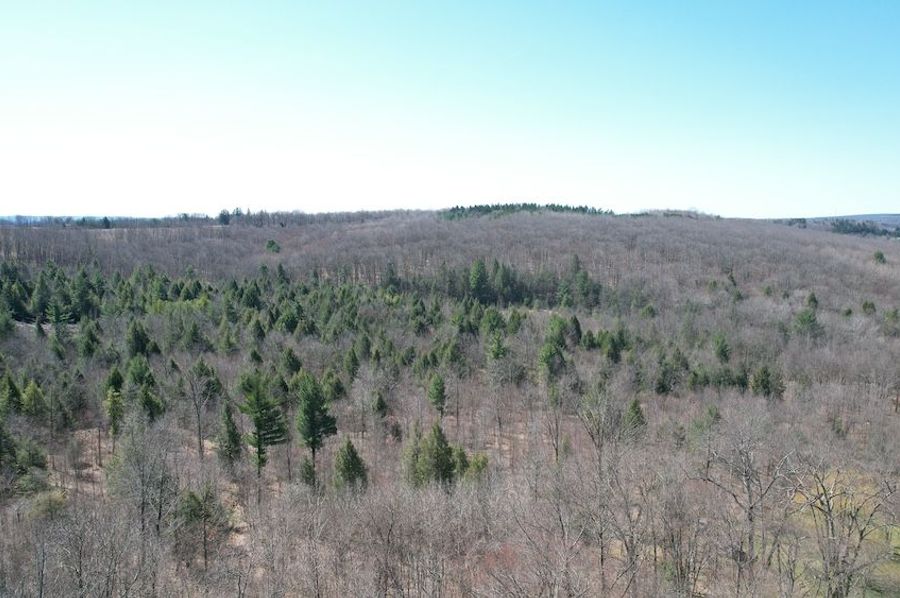 dji_fly_20250417_112736_130_1744904187749_photo