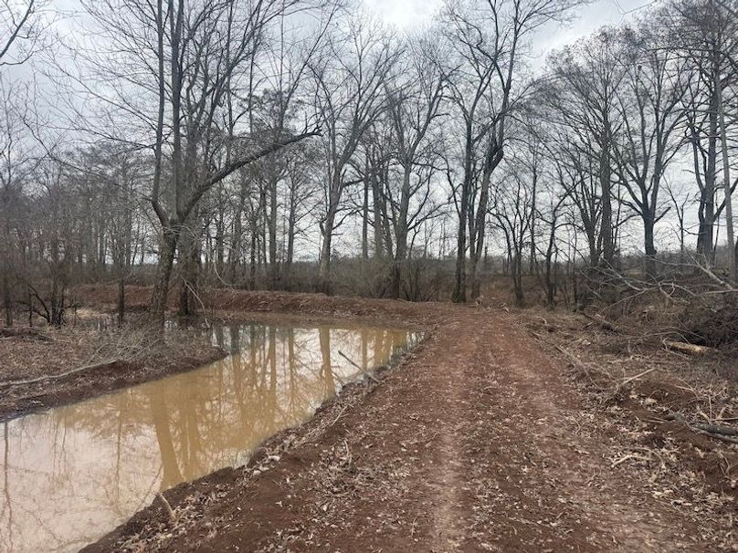 311 new20260217_0472