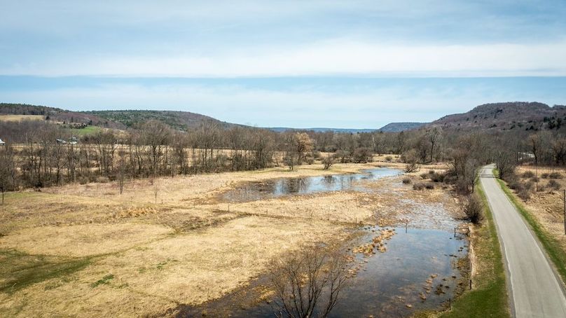 Tioga__NY_109.7_Burris_Photos_89