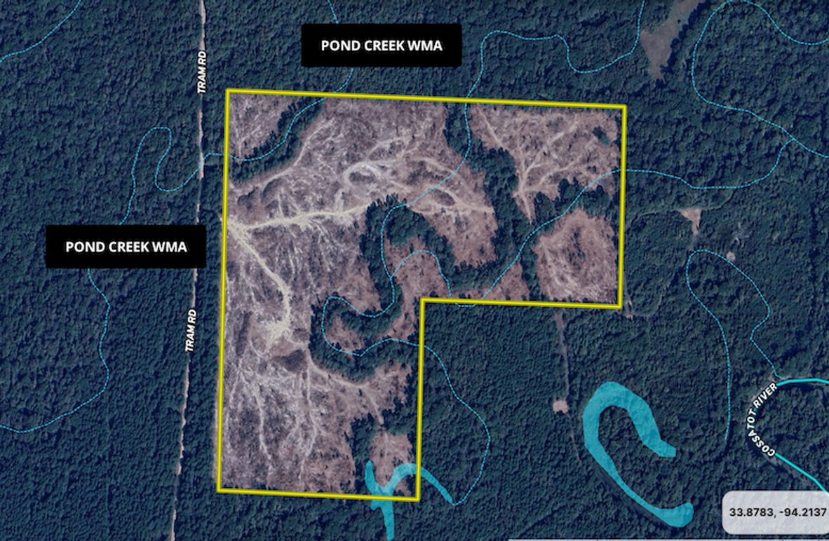 Screenshot 2025-09-19 at 8.03.53 AM