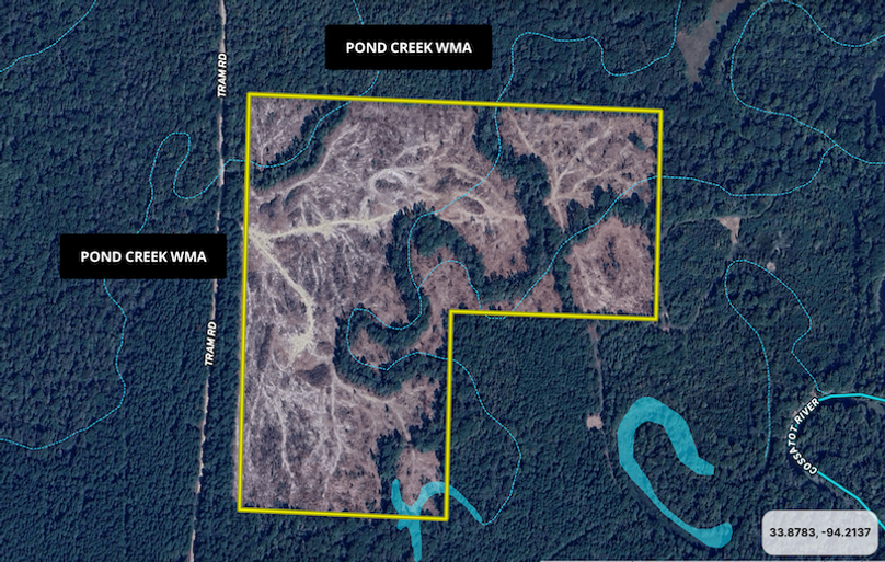 Screenshot 2025-09-19 at 8.03.53 AM